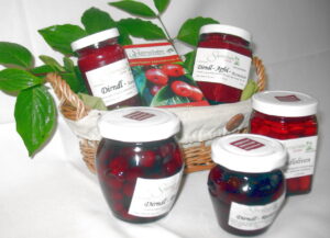 Dirndlkoerberl-Selektion