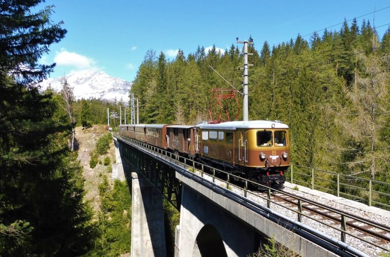 Erlebniszug Ötscherbär