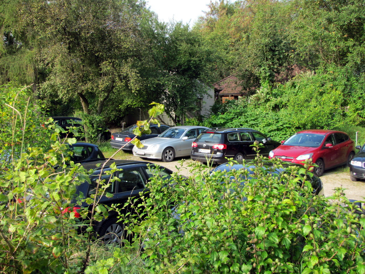 Parken im Pielachtal