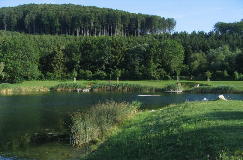 Seensucht Hofstetten