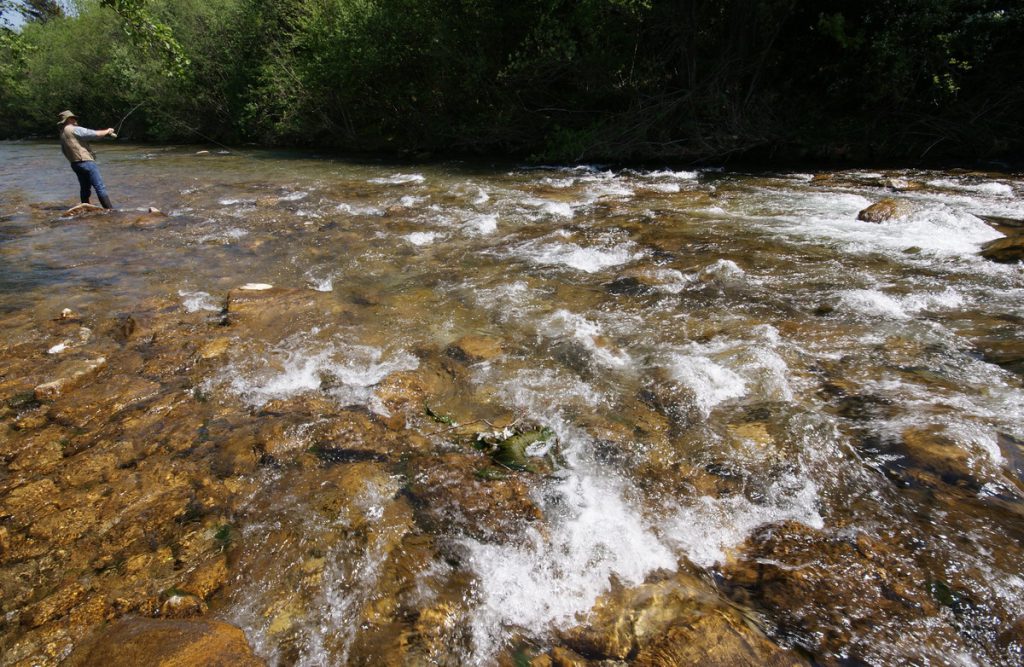 Fischen in der Pielach