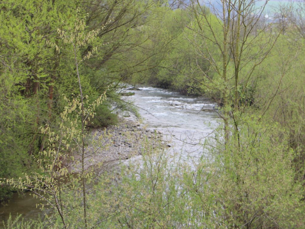 Grüne Pielach, der Fluss durch das Pielachtal