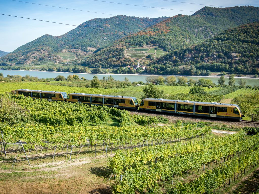 Fahrt mit der Wachaubahn 2016 durch die Weingärten