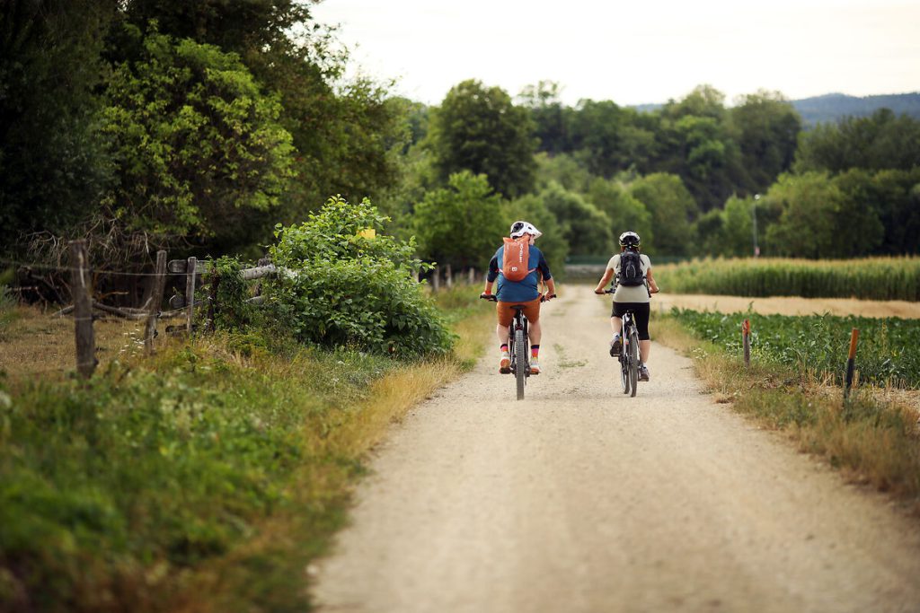 Radweg in der Nähe des Ebersdorfer Sees