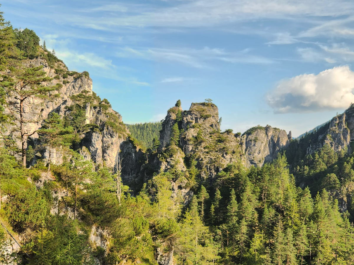 Ötschergräben Wanderung